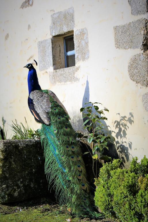 Bed and Breakfast Chateau De La Chasse-Guerre Hardanges Exterior foto