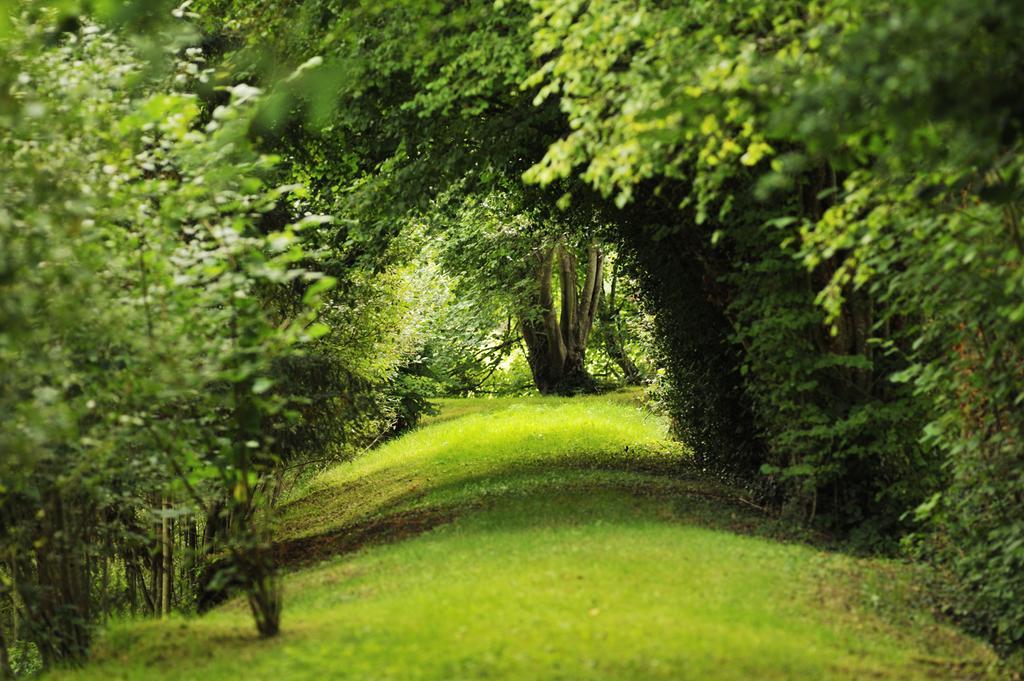 Bed and Breakfast Chateau De La Chasse-Guerre Hardanges Exterior foto